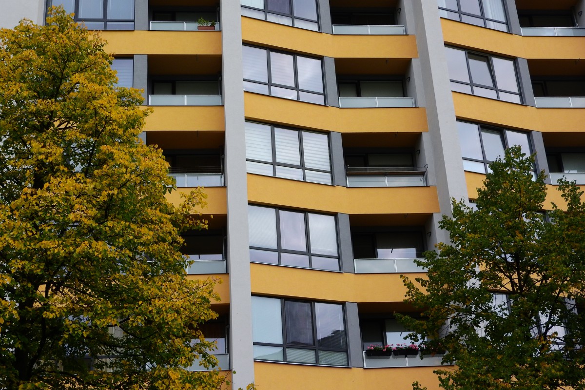 immeuble et arbre